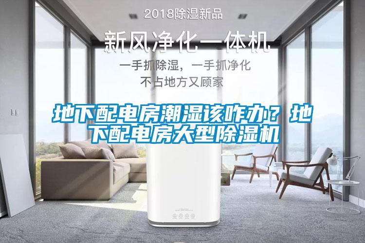 地下配電房潮濕該咋辦?地下配電房大型除濕機(jī)