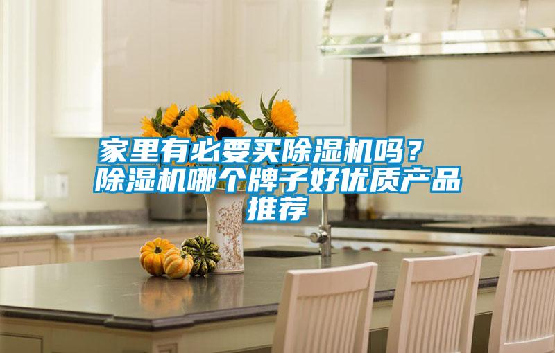 家里有必要買除濕機嗎？ 除濕機哪個牌子好優質產品推薦