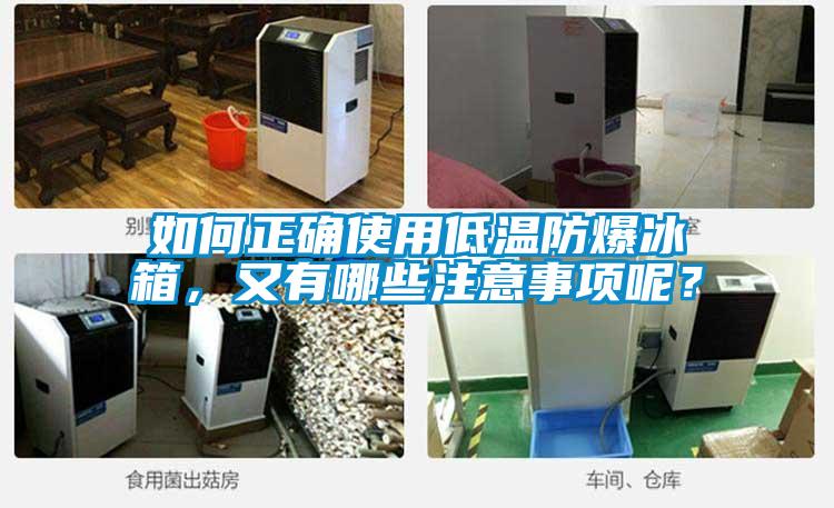 如何正確使用低溫防爆冰箱,又有哪些注意事項呢?