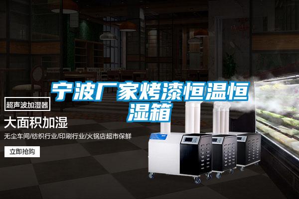 寧波廠(chǎng)家烤漆恒溫恒濕箱