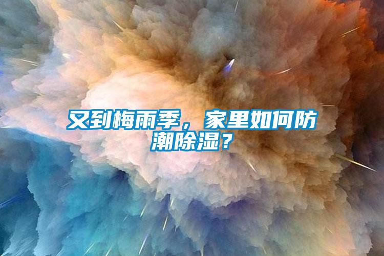 又到梅雨季，家里如何防潮除濕？