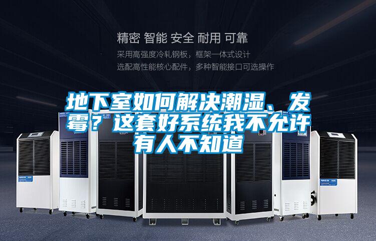 地下室如何解決潮濕、發霉？這套好系統我不允許有人不知道