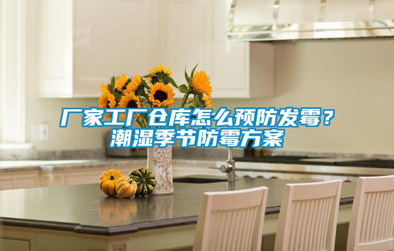 廠家工廠倉庫怎么預防發霉？潮濕季節防霉方案