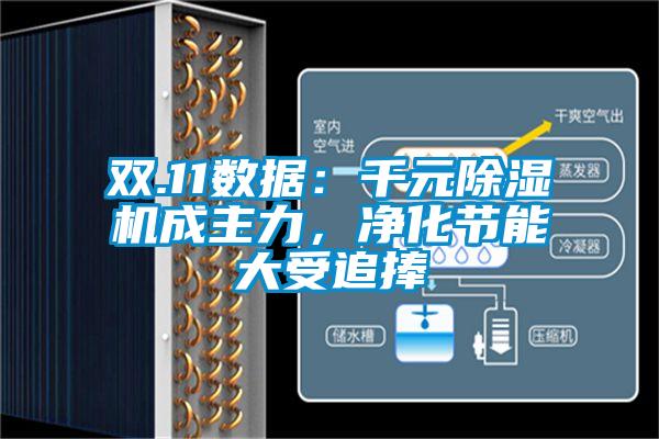 雙.11數據:千元除濕機成主力,凈化節能大受追捧