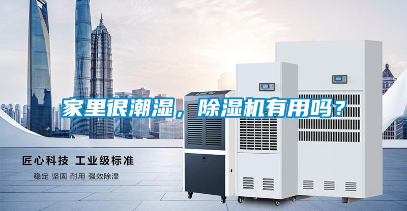 家里很潮濕，除濕機有用嗎？