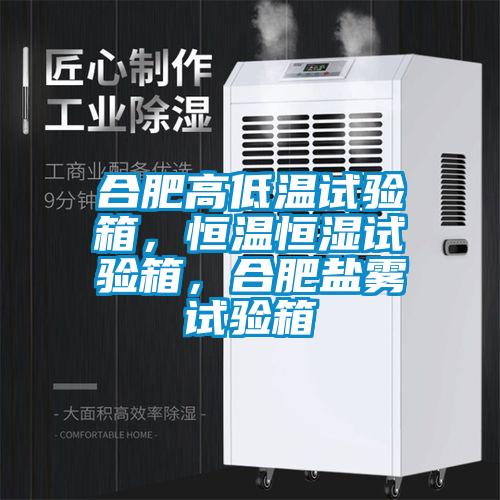合肥高低溫試驗箱，恒溫恒濕試驗箱，合肥鹽霧試驗箱
