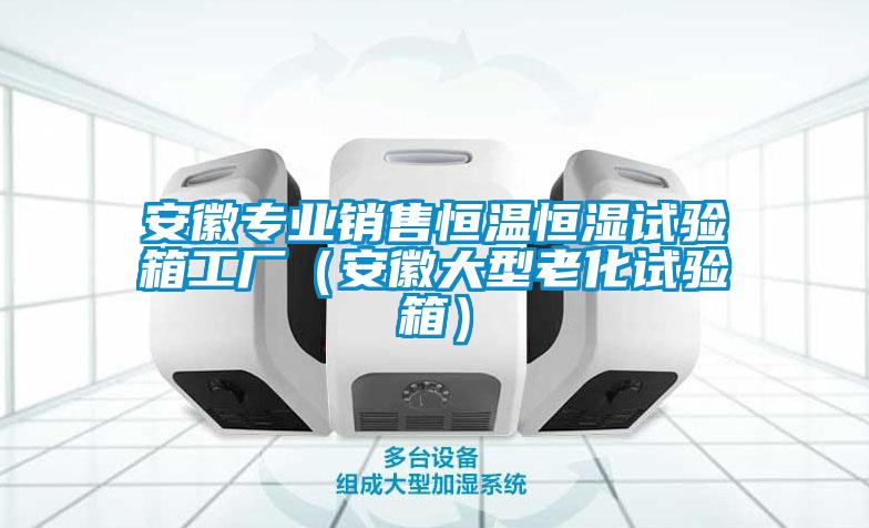 安徽專(zhuān)業(yè)銷(xiāo)售恒溫恒濕試驗(yàn)箱工廠(安徽大型老化試驗(yàn)箱)