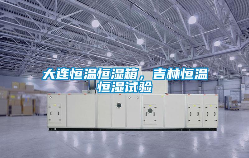 大連恒溫恒濕箱,吉林恒溫恒濕試驗(yàn)