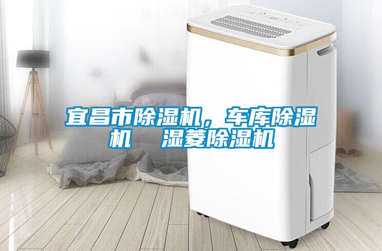 宜昌市除濕機(jī),車庫(kù)除濕機(jī) 濕菱除濕機(jī)