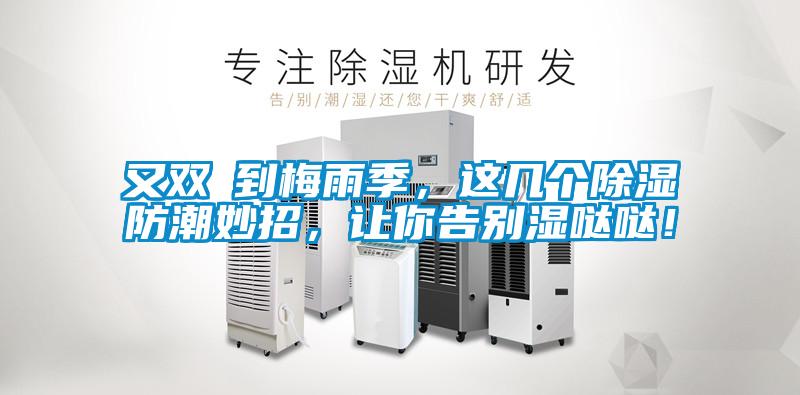 又雙叒到梅雨季，這幾個除濕防潮妙招，讓你告別濕噠噠！