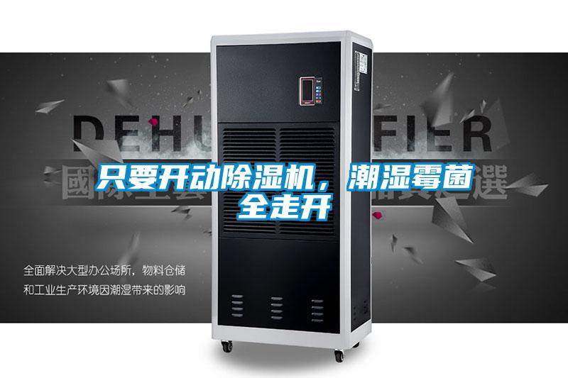 只要開動除濕機,潮濕霉菌全走開