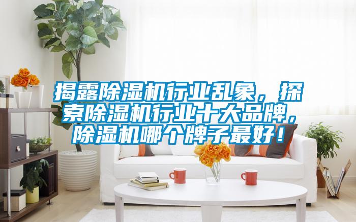 揭露除濕機行業亂象，探索除濕機行業十大品牌，除濕機哪個牌子最好！