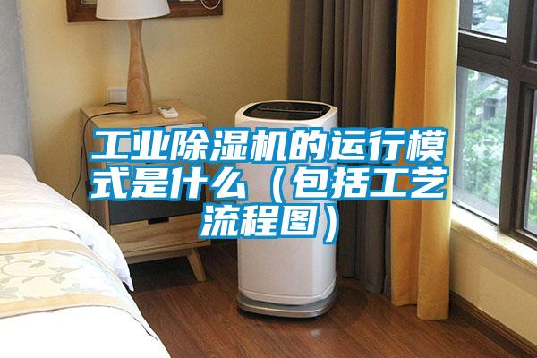 工業除濕機的運行模式是什么(包括工藝流程圖)