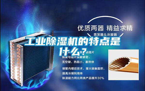工業(yè)除濕機(jī)的特點(diǎn)是什么?