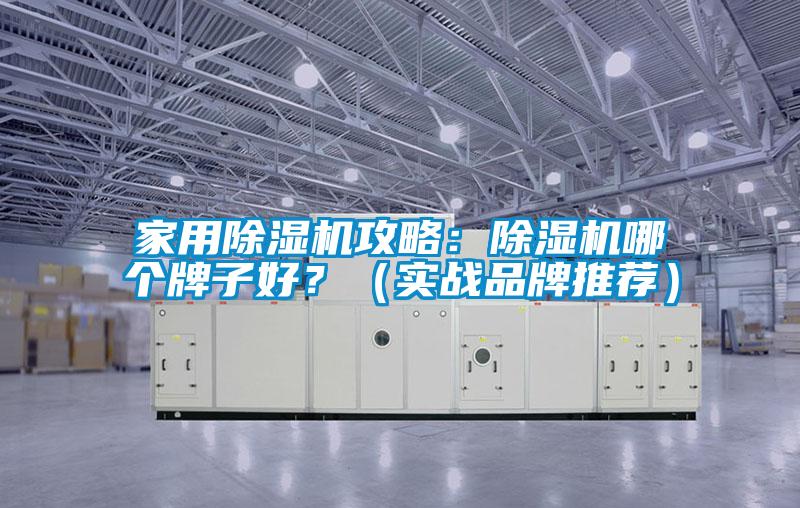 家用除濕機攻略:除濕機哪個牌子好?(實戰品牌推薦)