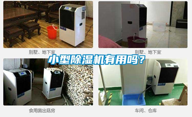 小型除濕機有用嗎?