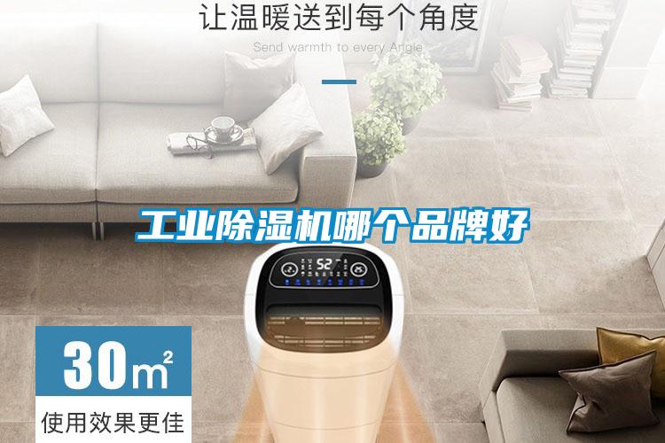 工業除濕機哪個品牌好