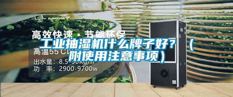 工業(yè)抽濕機什么牌子好?(附使用注意事項)
