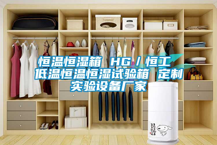 恒溫恒濕箱 HG/恒工 低溫恒溫恒濕試驗箱 定制實驗設備廠家