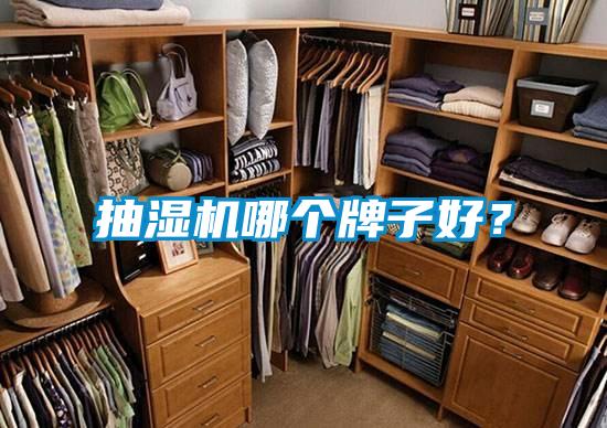 抽濕機哪個牌子好?