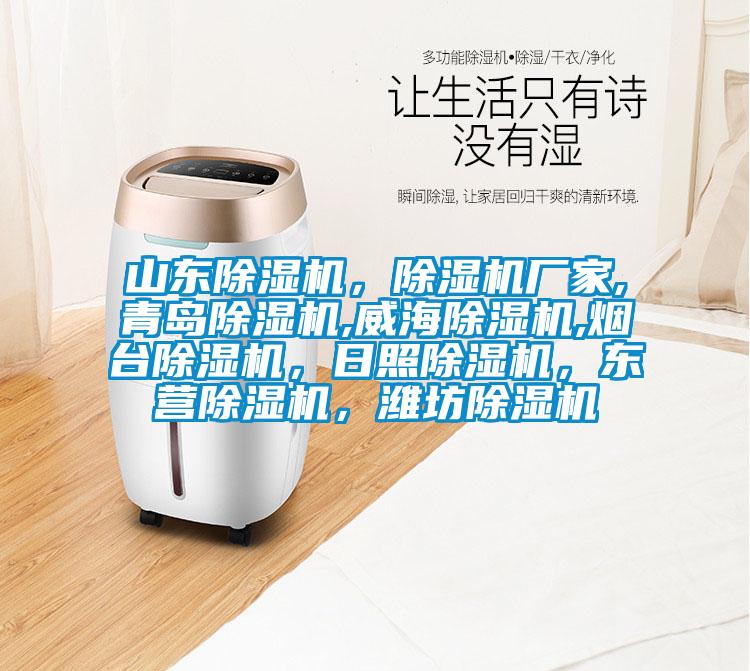 山東除濕機(jī),除濕機(jī)廠家,青島除濕機(jī),威海除濕機(jī),煙臺除濕機(jī),日照除濕機(jī),東營除濕機(jī),濰坊除濕機(jī)