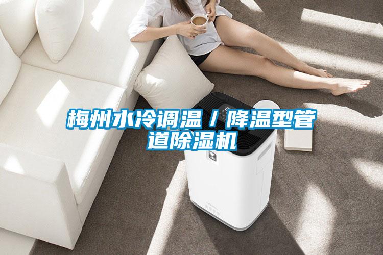梅州水冷調(diào)溫/降溫型管道除濕機(jī)
