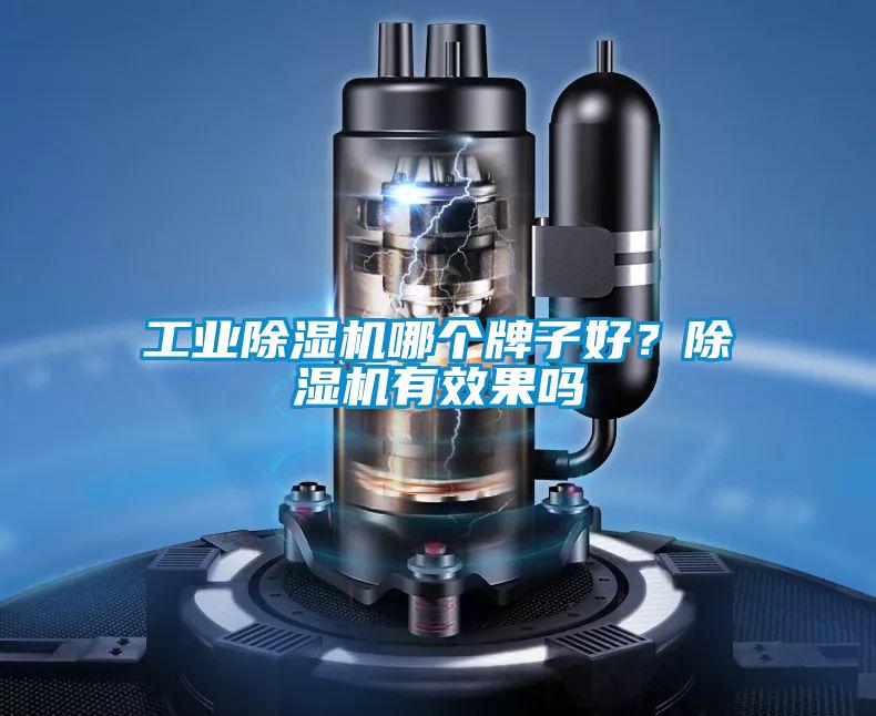 工業(yè)除濕機哪個牌子好?除濕機有效果嗎