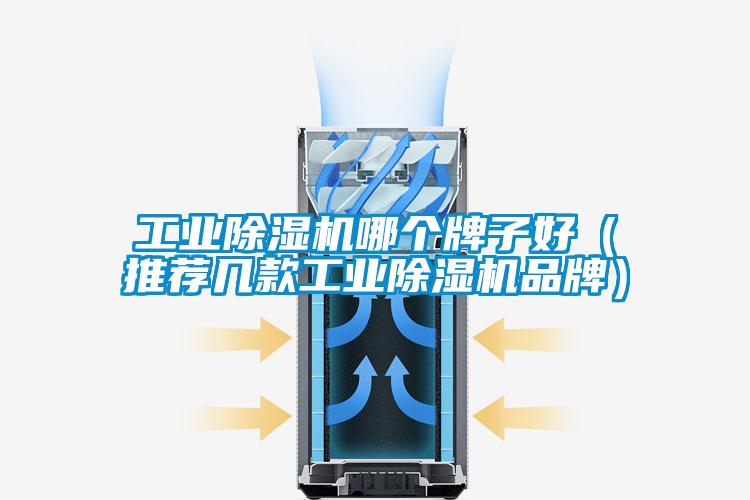 工業(yè)除濕機哪個牌子好(推薦幾款工業(yè)除濕機品牌)