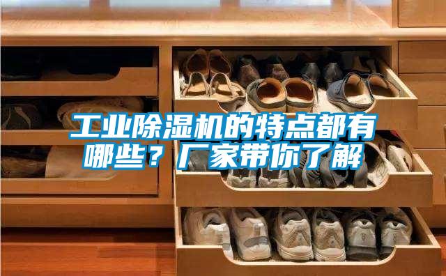工業除濕機的特點都有哪些？廠家帶你了解
