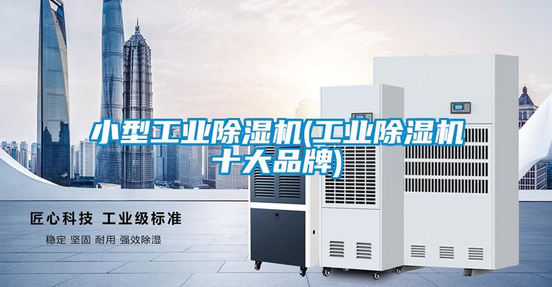 小型工業除濕機(工業除濕機十大品牌)