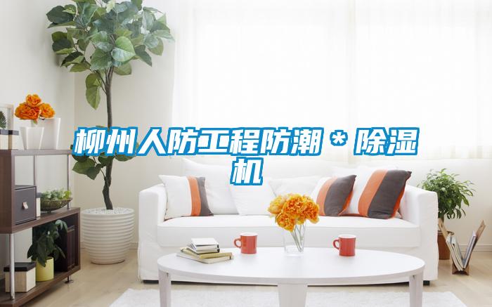 柳州人防工程防潮*除濕機
