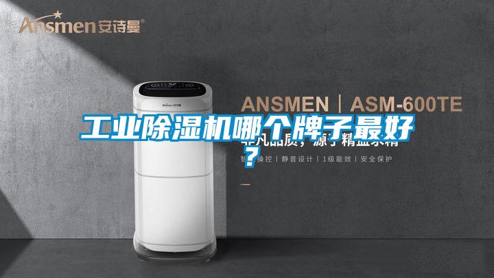 工業除濕機哪個牌子最好？