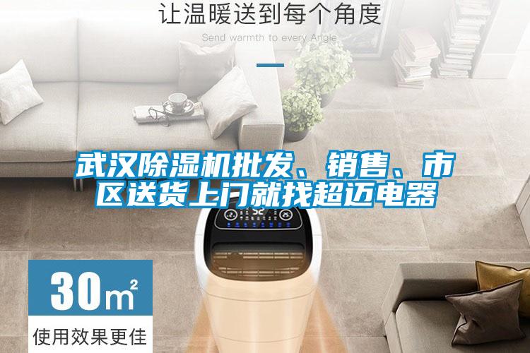 武漢除濕機批發、銷售、市區送貨上門就找超邁電器
