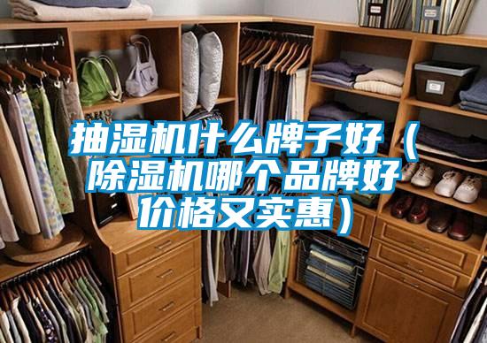 抽濕機什么牌子好(除濕機哪個品牌好價格又實惠)