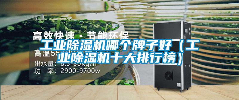 工業(yè)除濕機哪個牌子好(工業(yè)除濕機十大排行榜)
