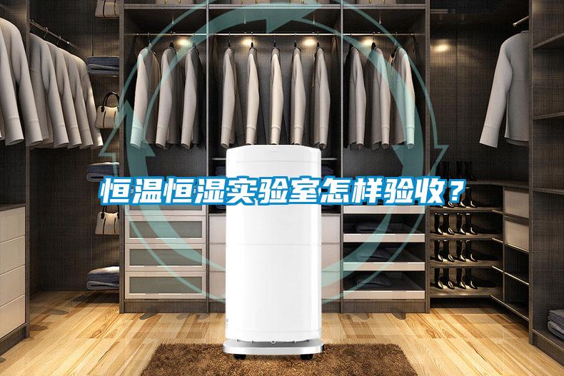 恒溫恒濕實驗室怎樣驗收?