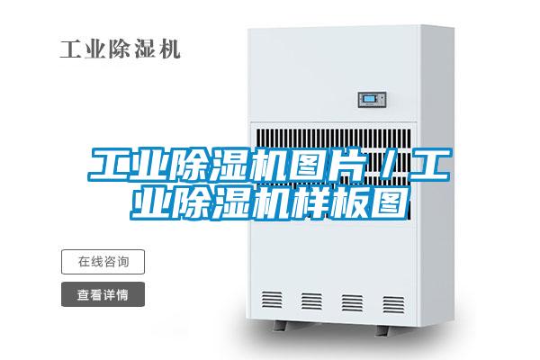 工業(yè)除濕機(jī)圖片/工業(yè)除濕機(jī)樣板圖
