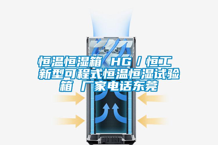 恒溫恒濕箱 HG/恒工 新型可程式恒溫恒濕試驗(yàn)箱 廠家電話東莞