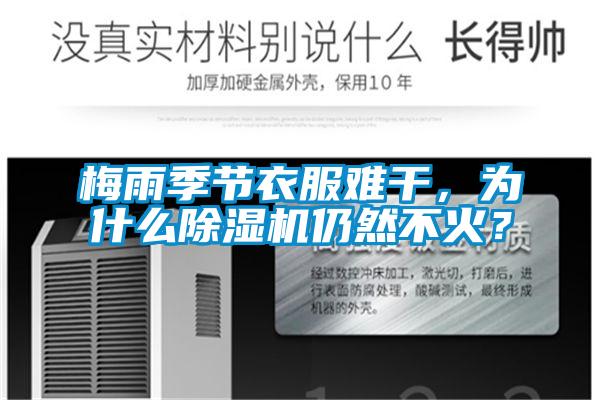 梅雨季節衣服難干,為什么除濕機仍然不火?