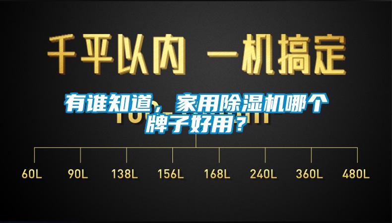 有誰知道,家用除濕機哪個牌子好用?