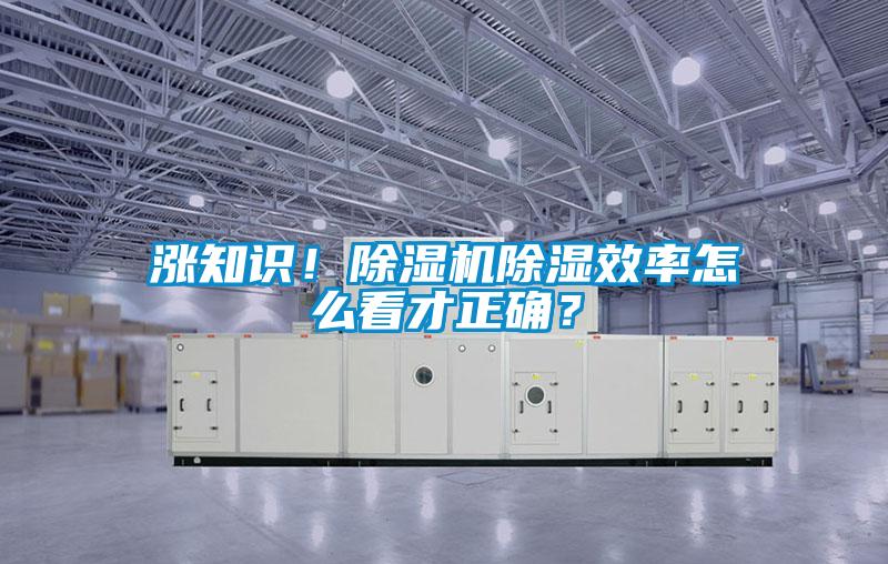 漲知識！除濕機除濕效率怎么看才正確？