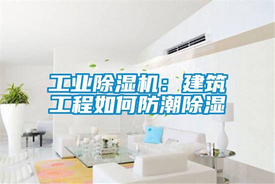 工業(yè)除濕機(jī):建筑工程如何防潮除濕
