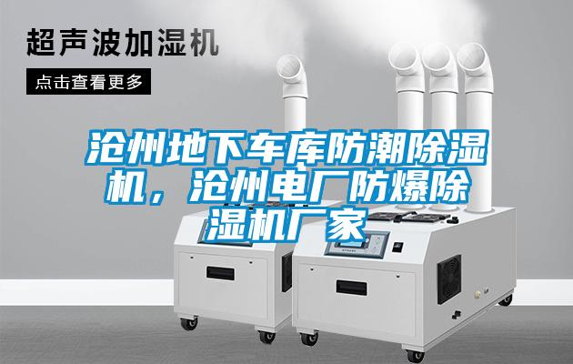 滄州地下車庫防潮除濕機(jī)，滄州電廠防爆除濕機(jī)廠家