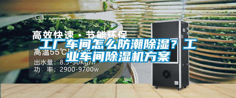 工廠車間怎么防潮除濕?工業車間除濕機方案