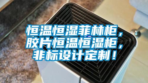 恒溫恒濕菲林柜,膠片恒溫恒濕柜,非標(biāo)設(shè)計(jì)定制!