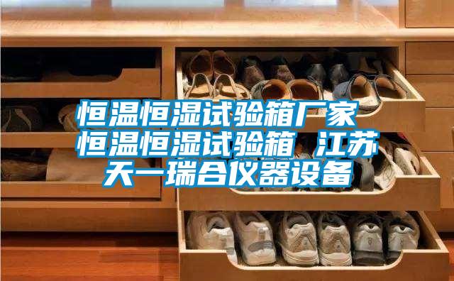 恒溫恒濕試驗箱廠家 恒溫恒濕試驗箱 江蘇天一瑞合儀器設備