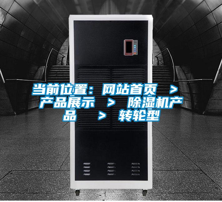 當(dāng)前位置:網(wǎng)站首頁 > 產(chǎn)品展示 > 除濕機產(chǎn)品 > 轉(zhuǎn)輪型