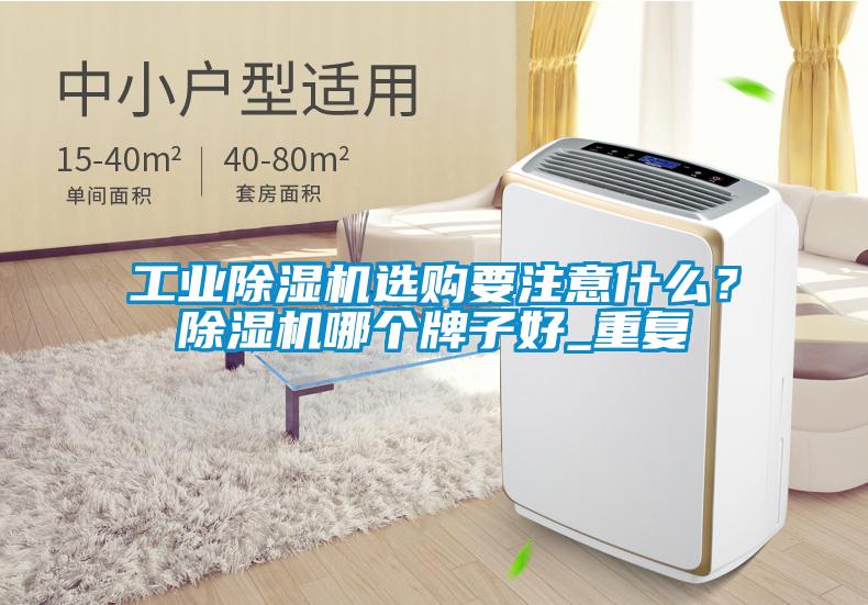 工業(yè)除濕機選購要注意什么?除濕機哪個牌子好_重復