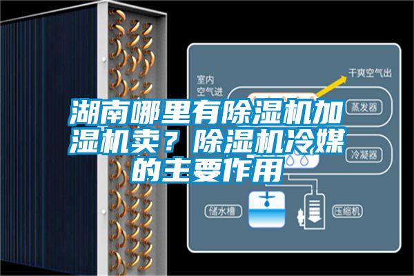 湖南哪里有除濕機(jī)加濕機(jī)賣?除濕機(jī)冷媒的主要作用