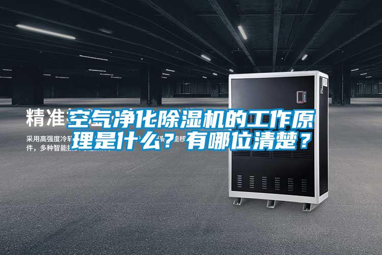 空氣凈化除濕機的工作原理是什么？有哪位清楚？